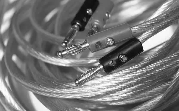 �����|����